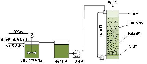 ADFB厭氧脫硝流體化床2.jpg