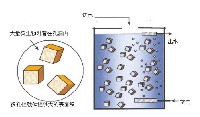 630c686cbec00.jpg